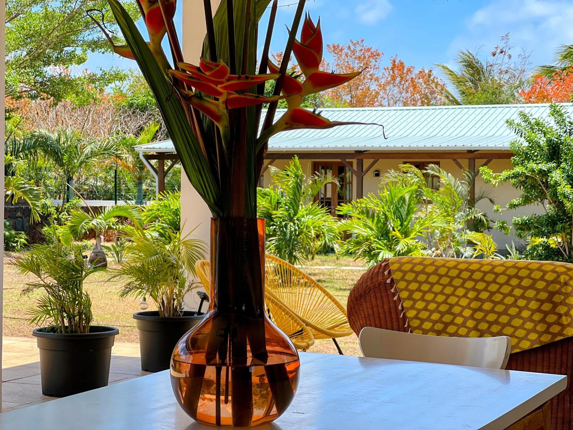 Lakaz Kannell - Vanilla Lodge, Secluded Outside Bath & Shower Infinity Pool كاب مالهيريوكْسْ المظهر الخارجي الصورة